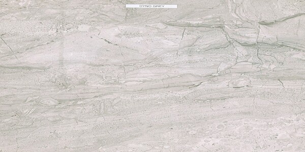 Dyno_Grey1